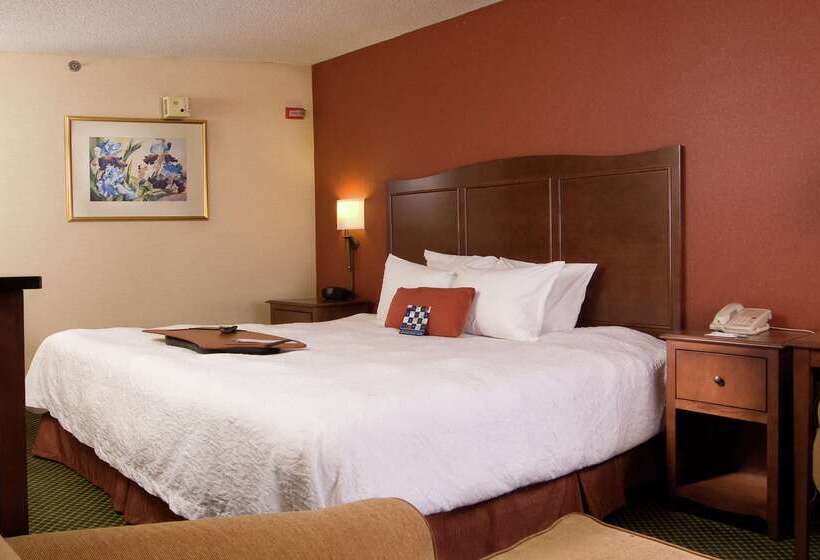 هتل Hampton Inn Atlantanorth Druid Hills