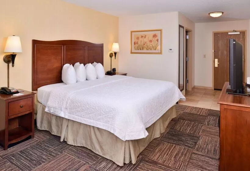 酒店 Hampton Inn Elkhart In