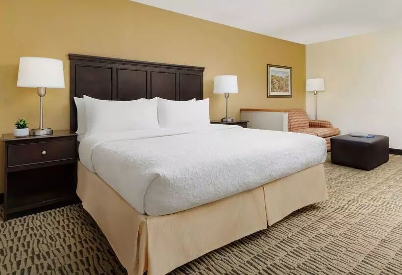 酒店 Hampton Inn Jackson