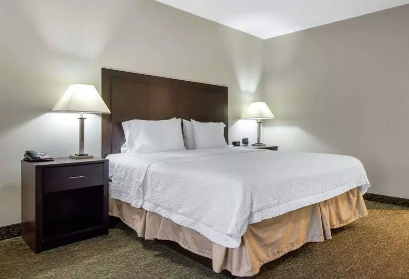 酒店 Hampton Inn Mebane