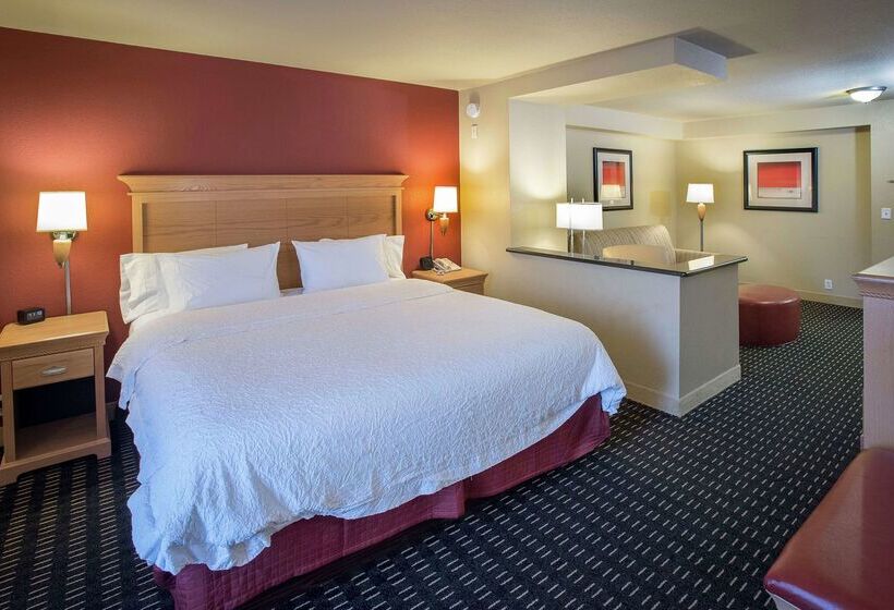 ホテル Hampton Inn Pensacola Airport