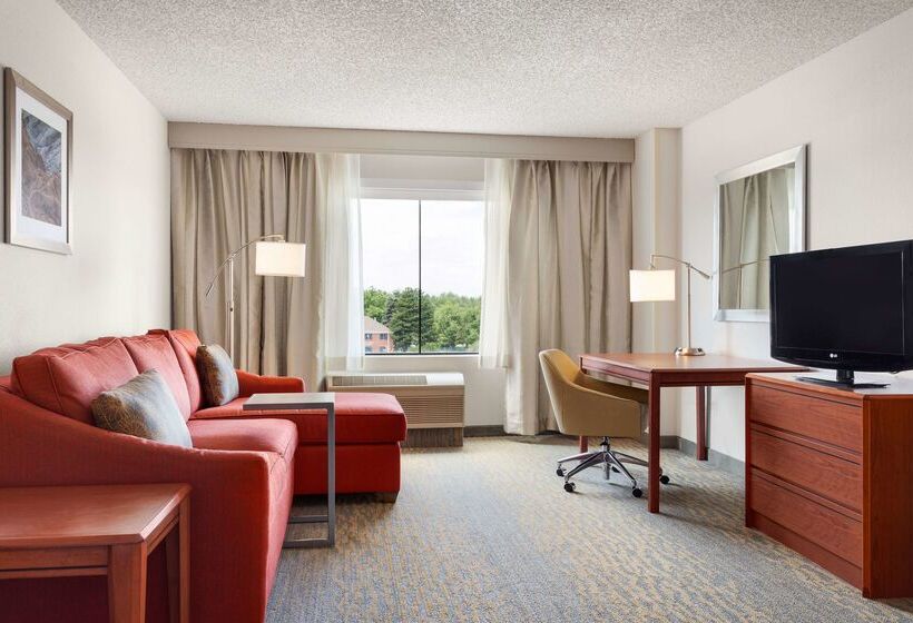 Hotel Hampton Inn & Suites Denvercherry Creek