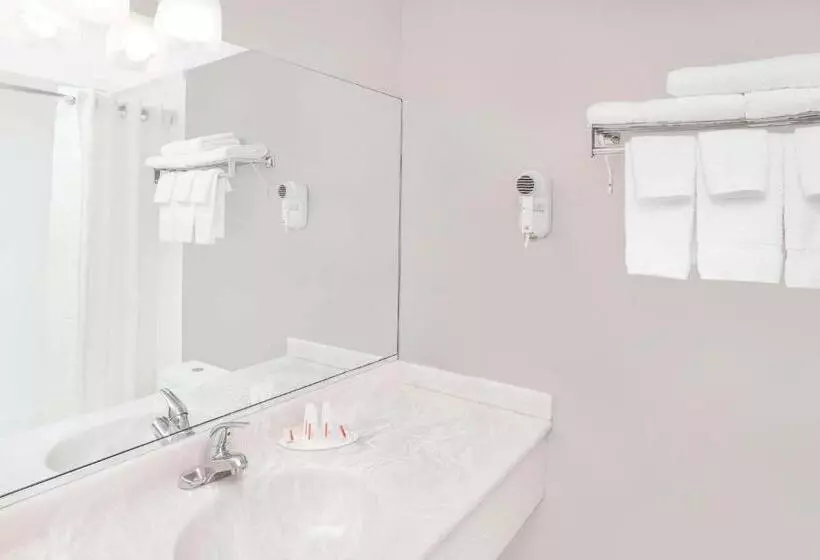 汽车旅馆  Super 8 By Wyndham Morton Grove/chicago