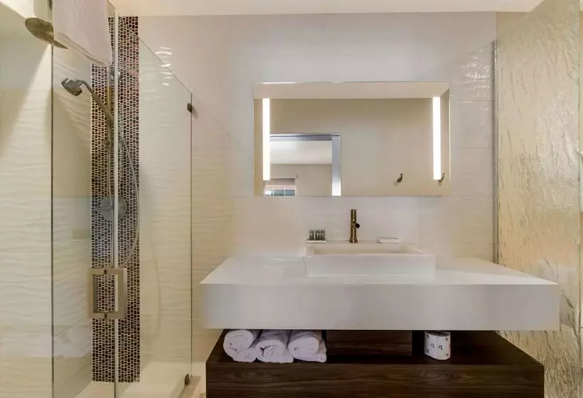 Surestay Plus Hotel By Best Western Tempe University