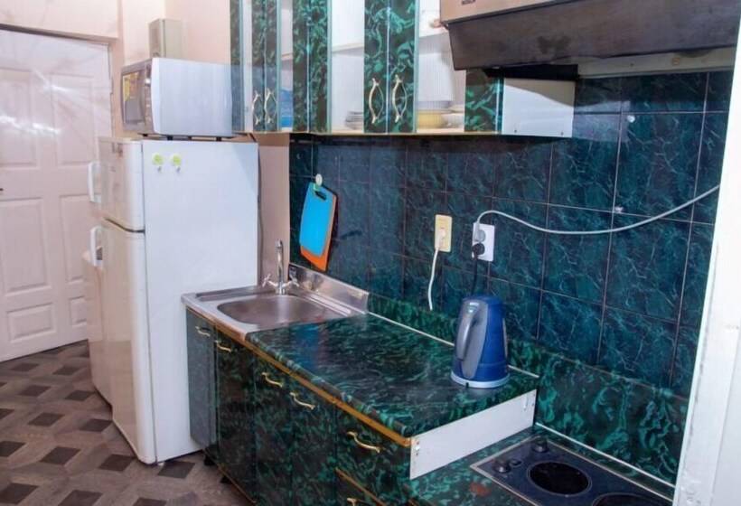 Apartment On Svetlanskaya St. 23