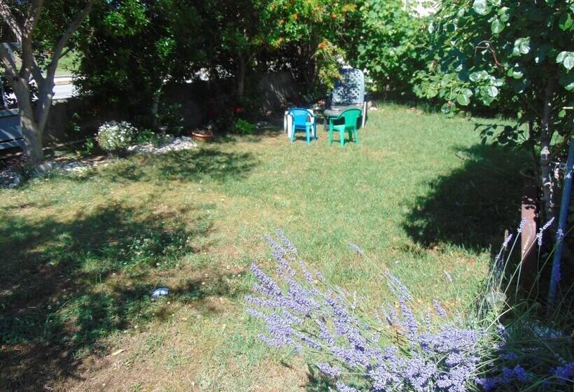 Comfortable Apartment Luka