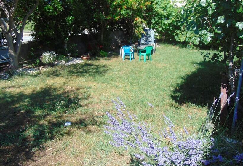 Comfortable Apartment Luka