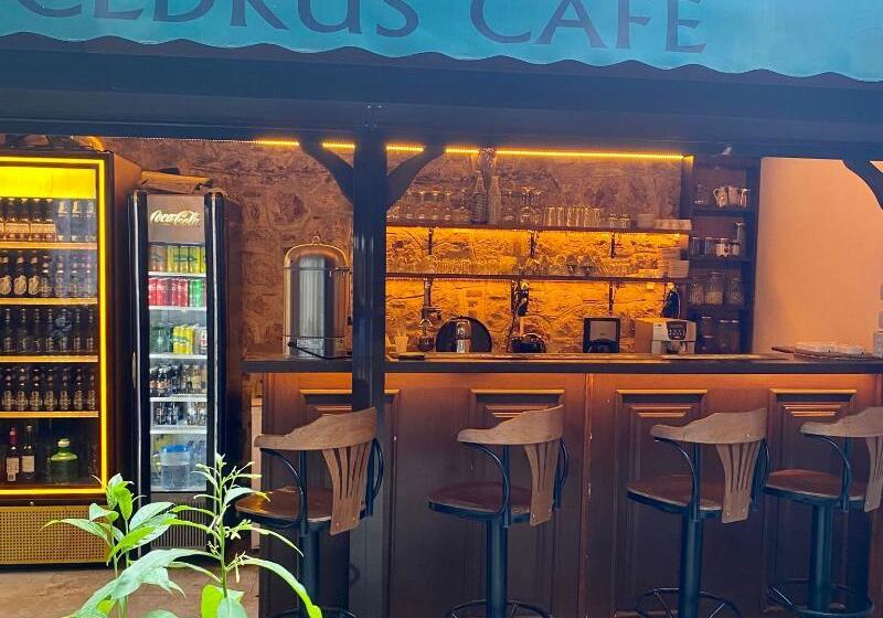 هتل Cedrus