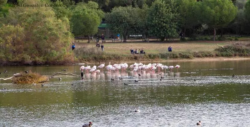 Vivienda Rural El Retorno