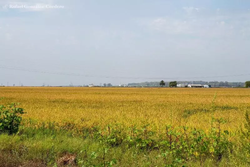 Vivienda Rural El Retorno