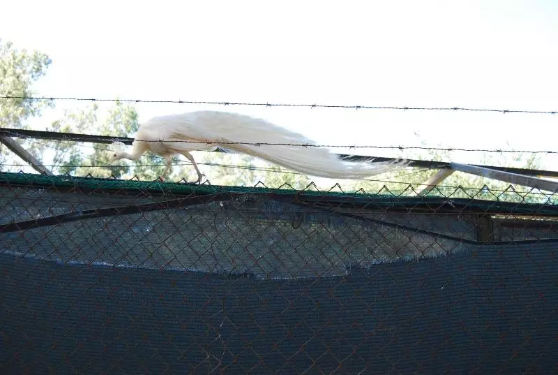 Vivienda Rural El Retorno