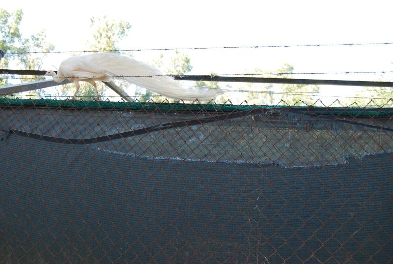 Vivienda Rural El Retorno