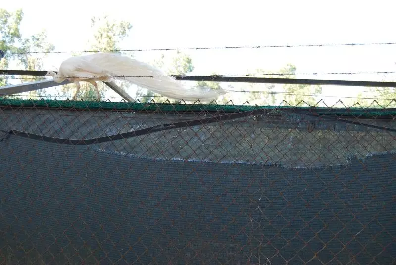 Vivienda Rural El Retorno