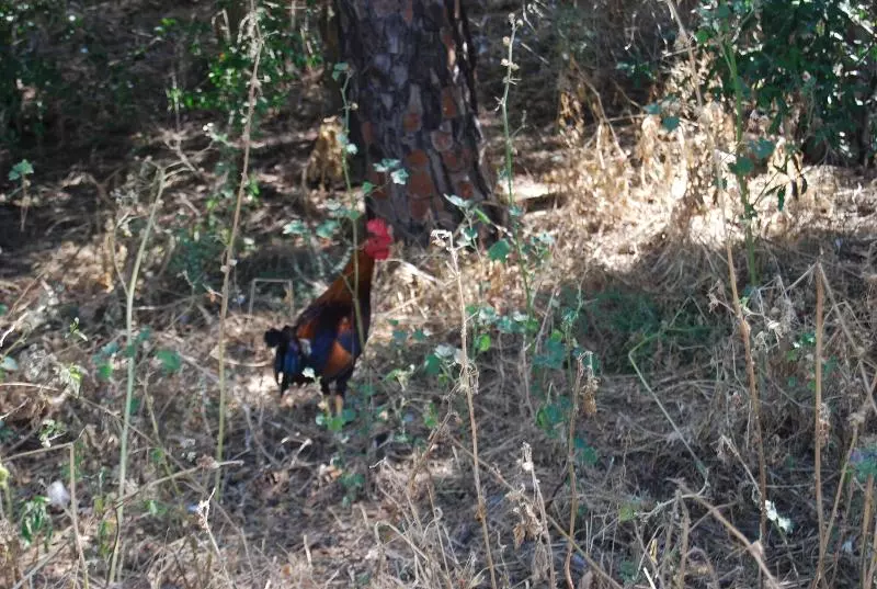 Vivienda Rural El Retorno