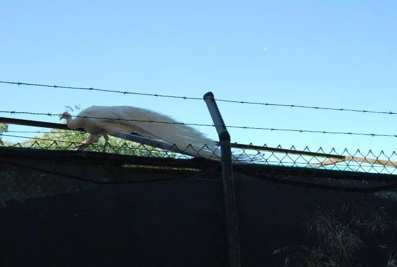 Vivienda Rural El Retorno