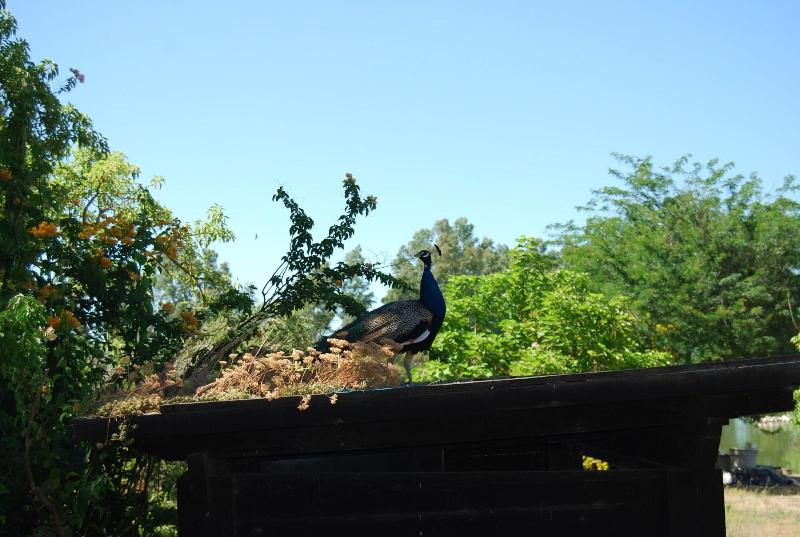 Vivienda Rural El Retorno