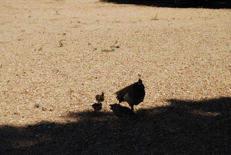 Vivienda Rural El Retorno