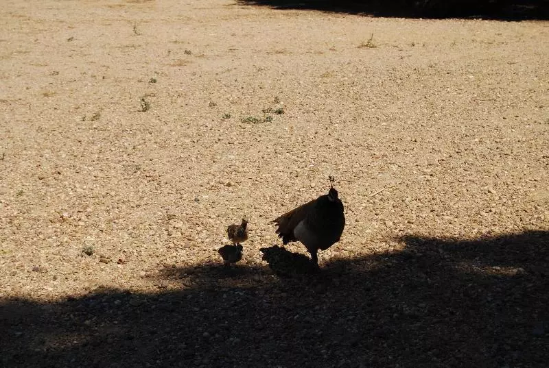 Vivienda Rural El Retorno