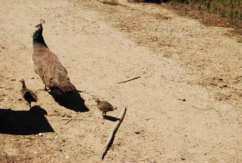 Vivienda Rural El Retorno