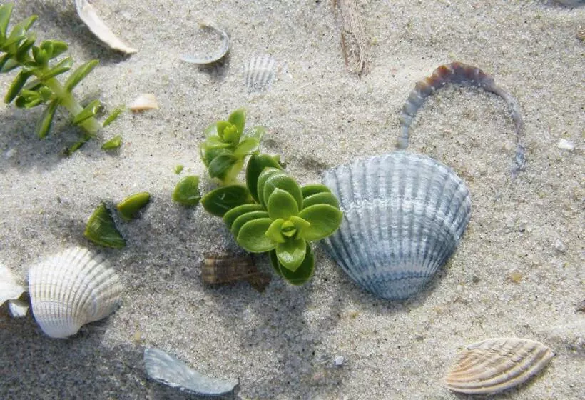 ホテル Ekke Nekkepenn