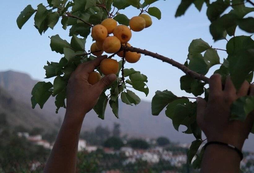 هتل روستایی Ecotara Canary Islands
