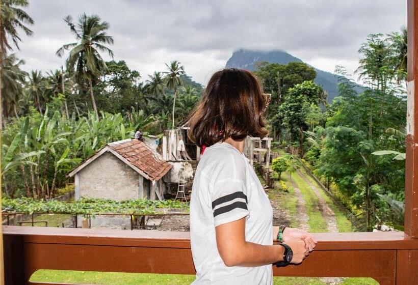 پانسیون Pousada Vila Paraíso