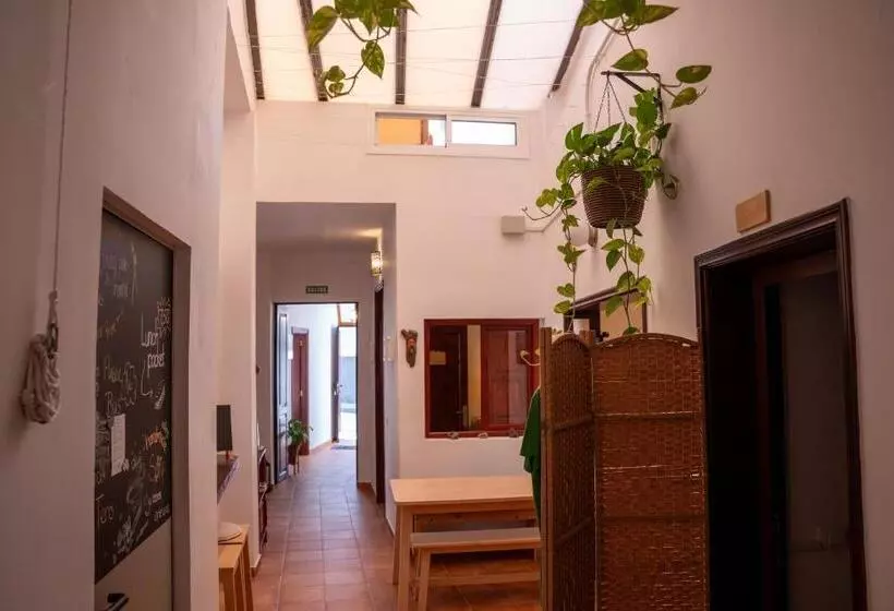 ベッドアンドブレックファースト Tabaiba Guesthouse