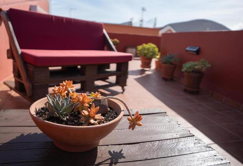 تختخواب و صبحانه Tabaiba Guesthouse