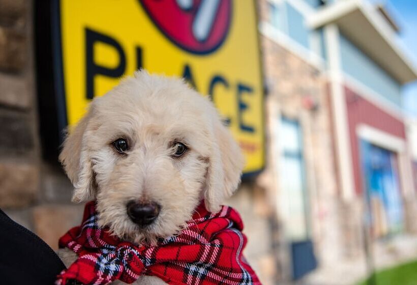 My Place Hotel Indianapolis Airport/plainfield, In