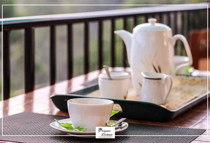 Pension Princess Of Dickoya Homestay