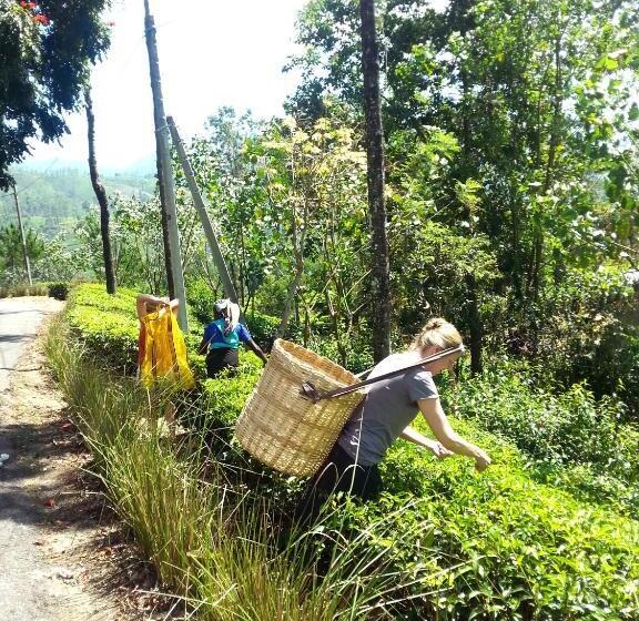 Pension Princess Of Dickoya Homestay