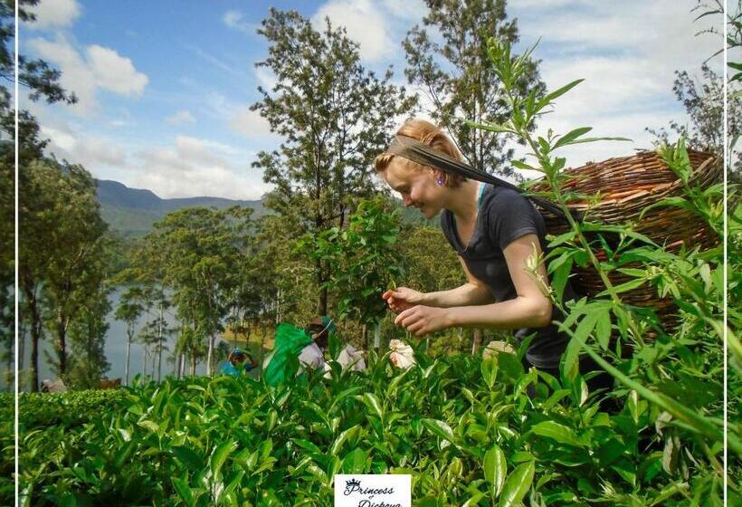 Pension Princess Of Dickoya Homestay