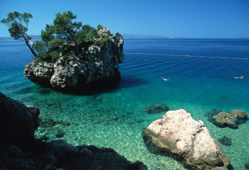 ペンション Guest House Davor Tomas