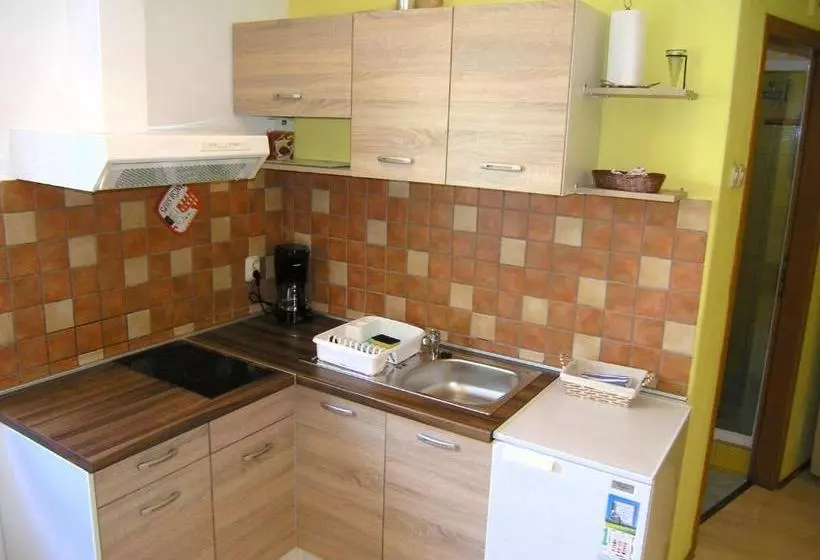 Apartment Danilo