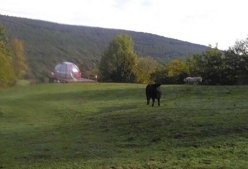 مبيت وإفطار Ferme Des Baillards