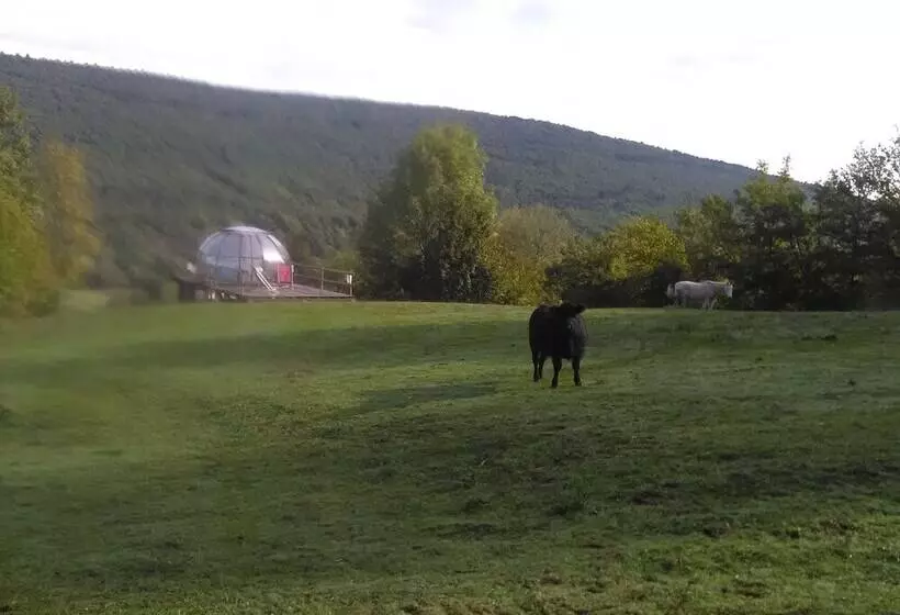 Aamiaismajoitus (B&B) Ferme Des Baillards