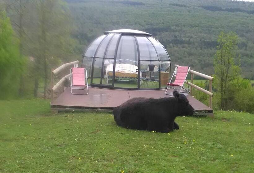 مبيت وإفطار Ferme Des Baillards