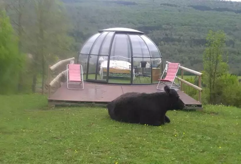 Aamiaismajoitus (B&B) Ferme Des Baillards