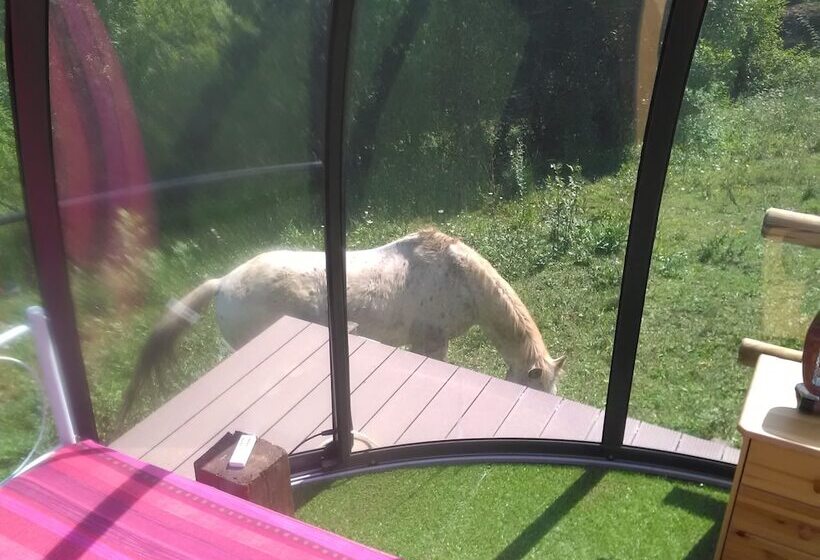 مبيت وإفطار Ferme Des Baillards