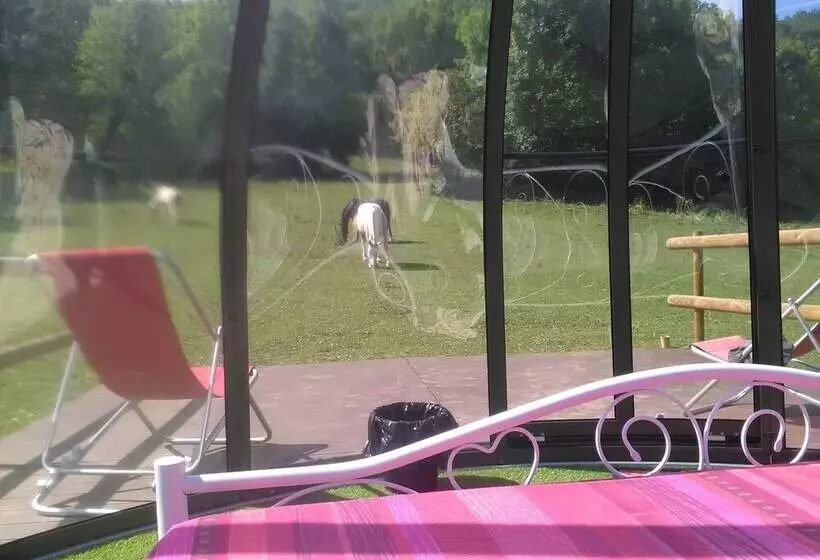 Aamiaismajoitus (B&B) Ferme Des Baillards