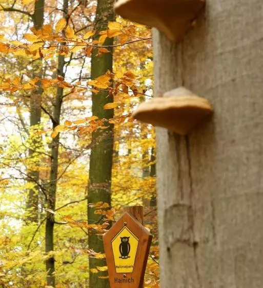 Pension Bergstube