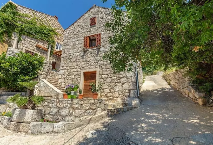 Summer Cottage