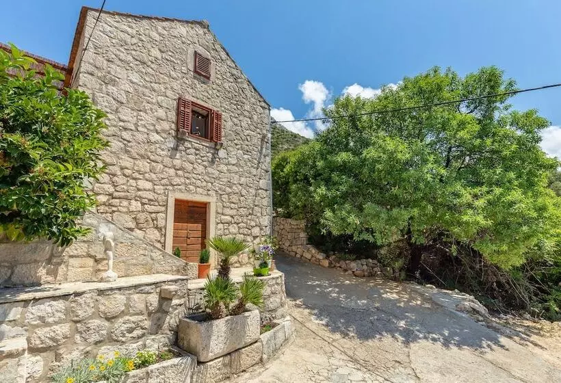 Summer Cottage