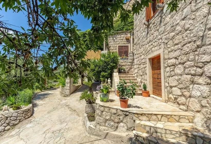 Summer Cottage