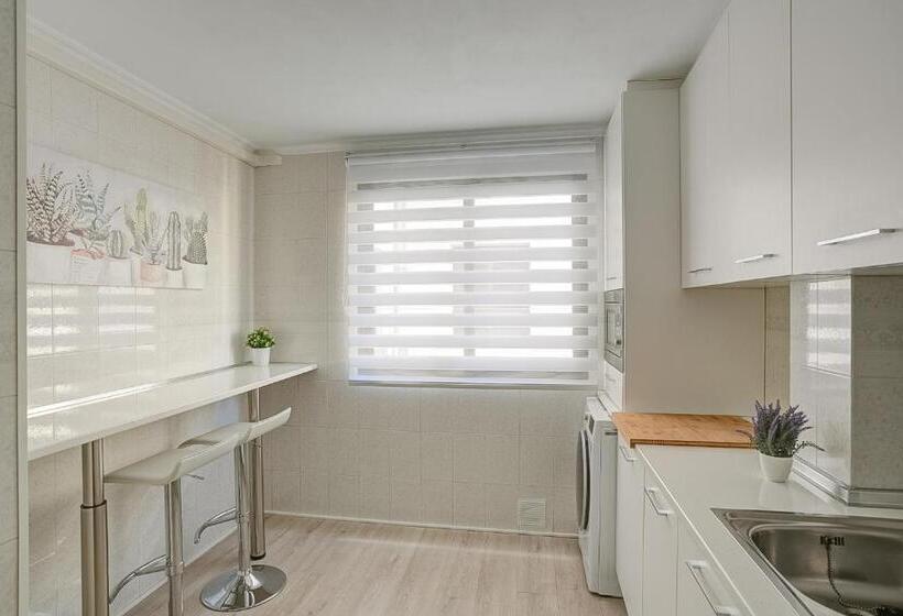 Un Lujo En El Corazón De Alicante