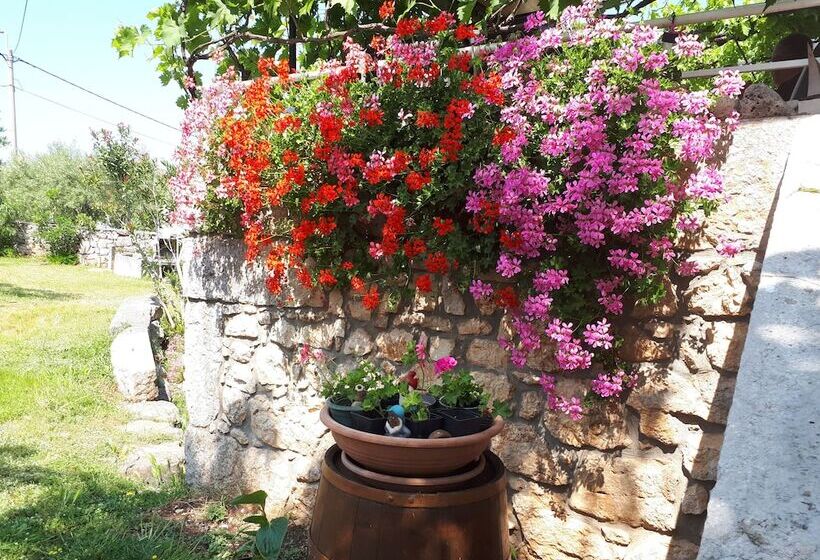 Apartment Sabina & Grapes