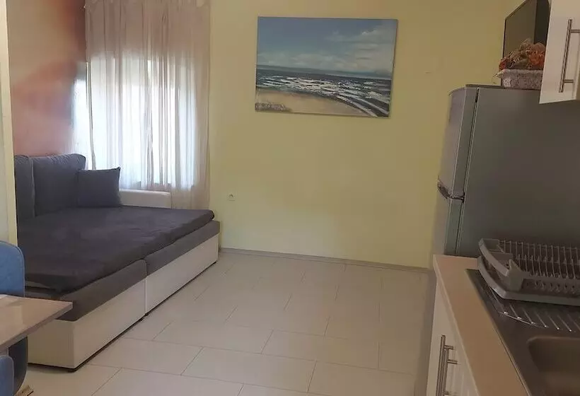 Apartment Sabina & Grapes