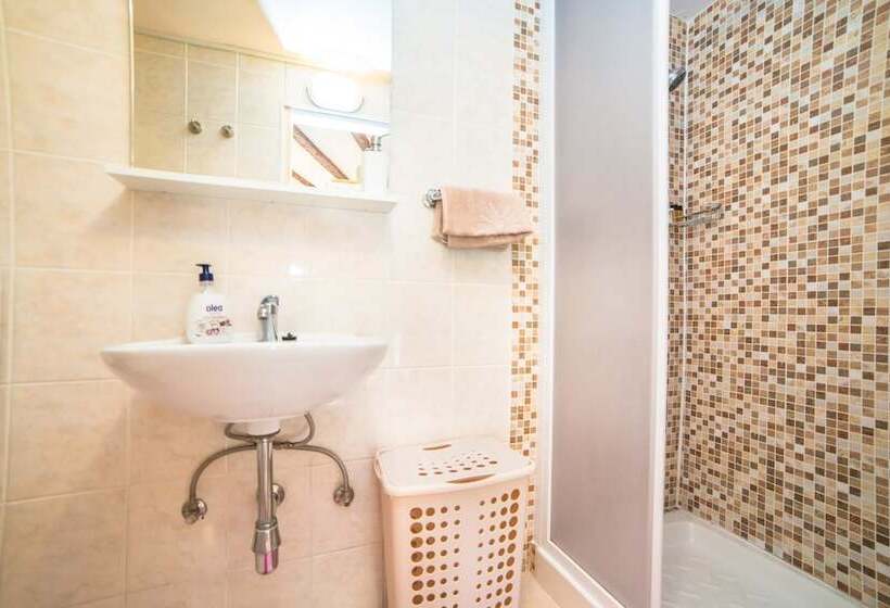 Apartments Dominik Rovinj