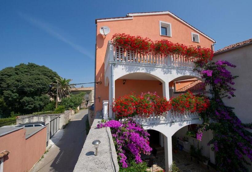 Apartments Salčinović