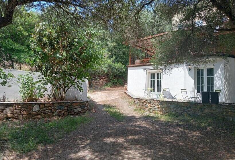 צימר Berbi Rosse